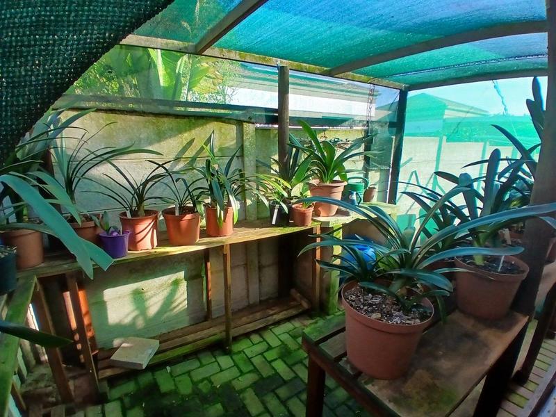 4 Bedroom Property for Sale in Fraaiuitsig Western Cape